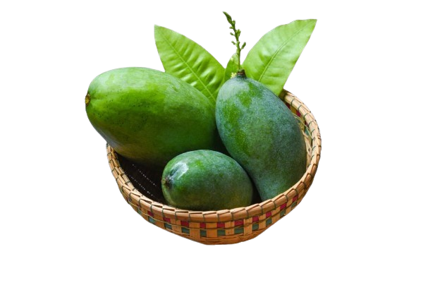 this is one of the famous jalal mangoes