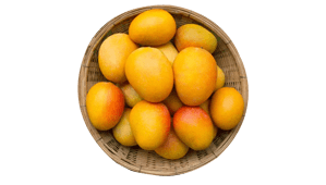 rasalu mangoes